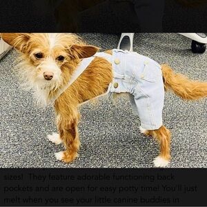 Stylish Dog Denim Overalls - Light Blue